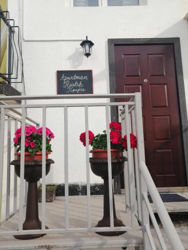 Gallery image of Apartmani Rustik Trpejca in Trpejca