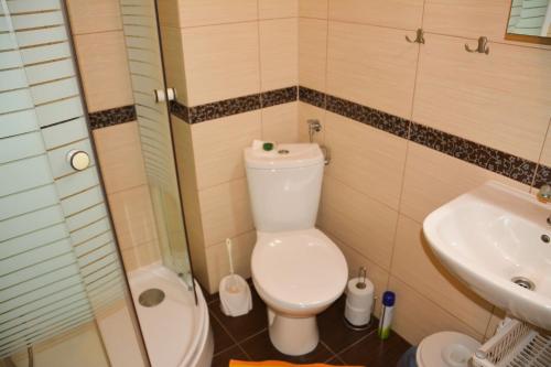 een kleine badkamer met een toilet en een wastafel bij U Gosa in Ustronie Morskie