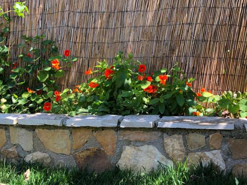 Φωτογραφία από το άλμπουμ του Petros Rooms & Apartments στο Ληξούρι