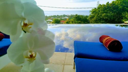 a close up of a blue couch with white flowers at Cantik Villa in Lovina