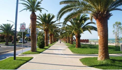 un trottoir bordé de palmiers à côté de la plage dans l'établissement Casa Mar.e, à Grottammare
