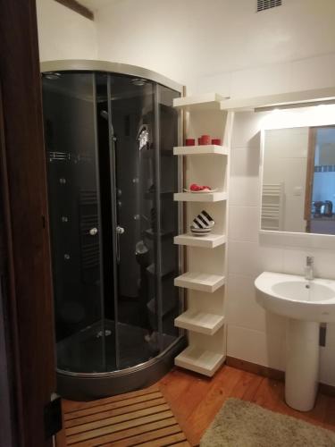 une salle de bain avec douche et lavabo dans l'établissement Maison de Maitre II, à Availles-Limouzine