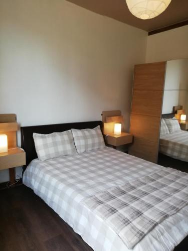 1 dormitorio con 1 cama grande y 2 mesitas de noche en Maison de Maitre II en Availles-Limouzine