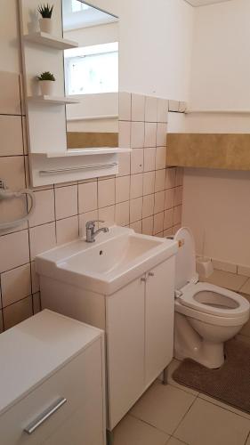 a bathroom with a sink and a toilet and a window at SAULES SVECIU NAMAI in Palanga