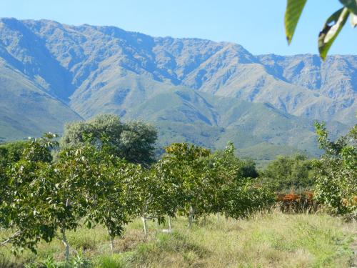 Finca La Julia – Photos 5
