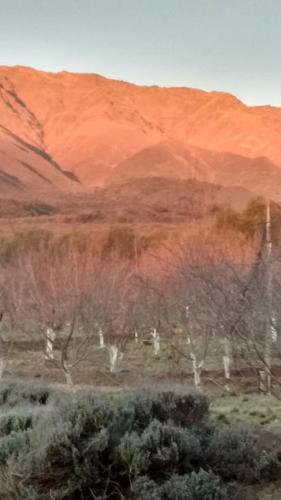 Finca La Julia – Photos 4