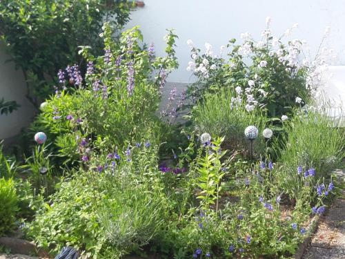 a garden with purple and white flowers at Arthouse Apartment in Bad Vilbel