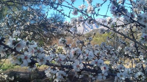 Finca La Julia – Photos 3