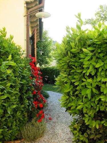 Zahrada ubytování Fattoria di Migliarino