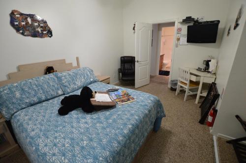 a teddy bear laying on a bed in a bedroom at The Bear's Den B&B in Page