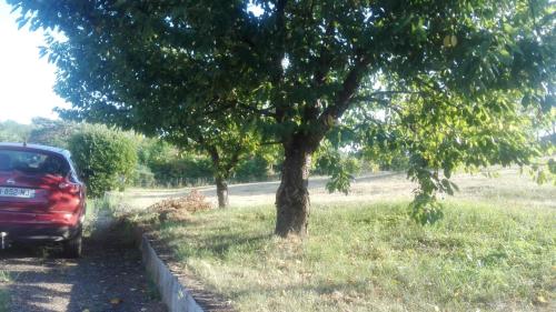 a red car parked next to a tree on a road at chez Patricia in Cransac