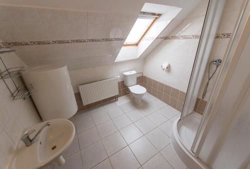 a small bathroom with a toilet and a sink at Penzion Kosky in Hamr
