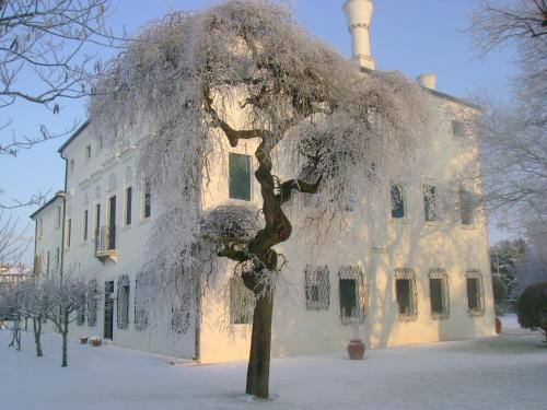 a tree covered in snow in front of a building at Villa Dei Dogi in Caorle