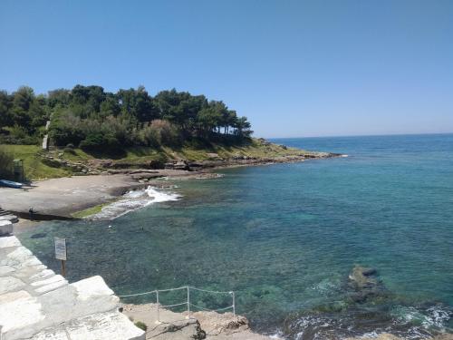 a view of a beach with trees and the ocean at casa dolce casa in Patù