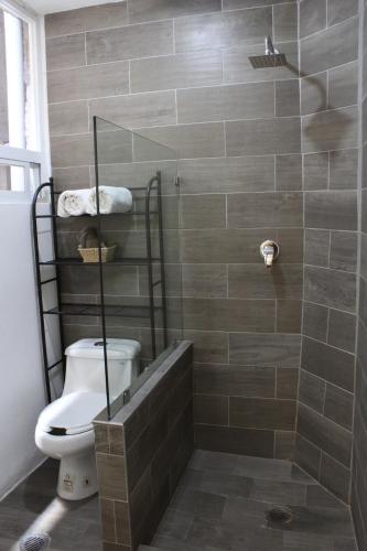 a bathroom with a toilet and a shower at Carcamanes 17 Gastro-Hotel in Guanajuato