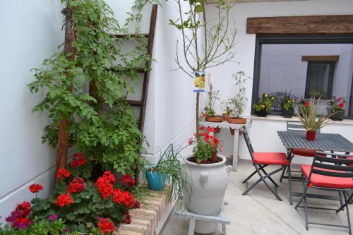 Taman di luar Casa Rural Hidalga