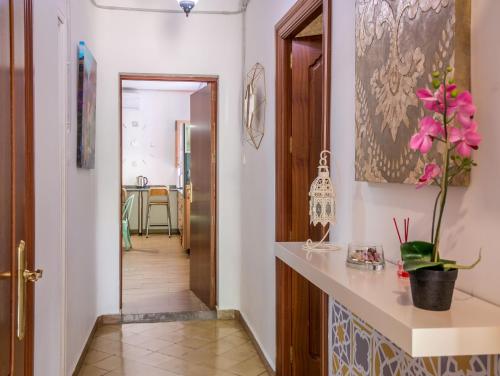 a kitchen with a counter with a plant on it at Apartamento el Purche in Granada