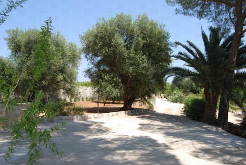 HelloApulia - Villa Rotondo – Photos 2