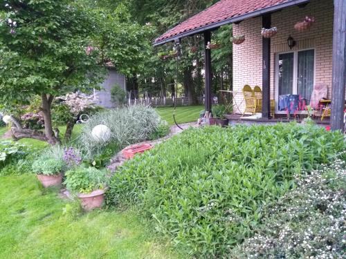 Un jardín fuera de vila zelenac