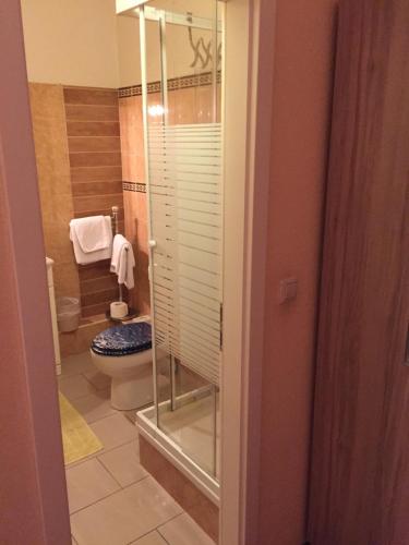 a bathroom with a toilet and a glass shower at Hotel Restaurant Alexandros in Mannheim