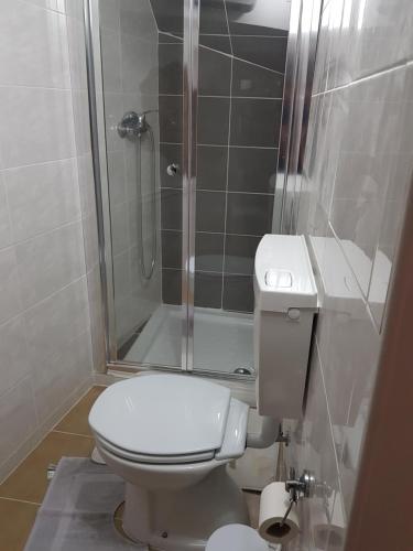 un piccolo bagno con wc e doccia di Dona Gracia Belmonte a Belmonte