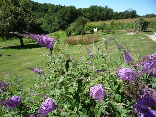 a garden with purple flowers in a field at Chambres d'Hôtes La Chouette in Sainte-Anne-Saint-Priest