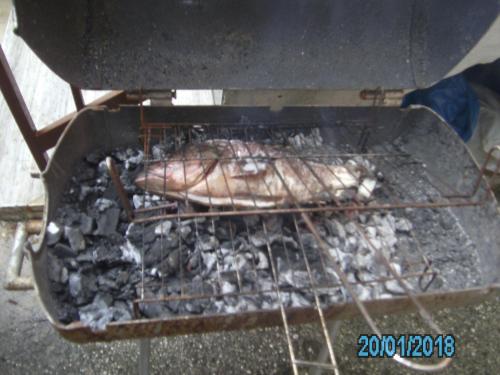 Εγκαταστάσεις μπάρμπεκιου για όλους τους επισκέπτες του διαμερίσματος
