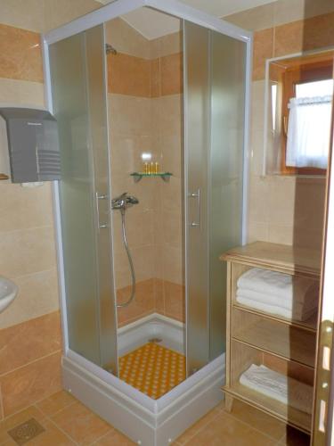 a shower with a glass door in a bathroom at Agroturism Stara Štala in Borut