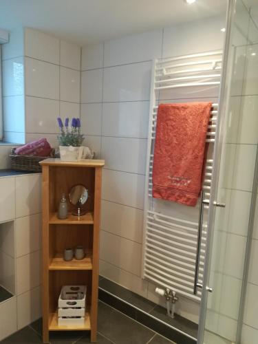 a shower with a glass door in a bathroom at Haase Eck in Bad Hönningen
