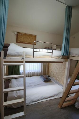 two bunk beds in a small room withthritisthritisthritisthritisthritisthritisthritisthritis at 晴家(HALELUYA) Guest House in Fujikawaguchiko
