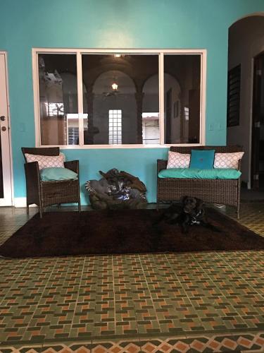 a dog laying on a rug in a room with two chairs at MEDUSA'S HOSTEL in Aguadilla
