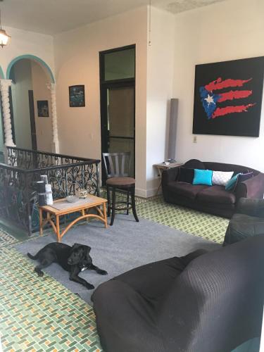 a living room with a black dog laying on the floor at MEDUSA'S HOSTEL in Aguadilla