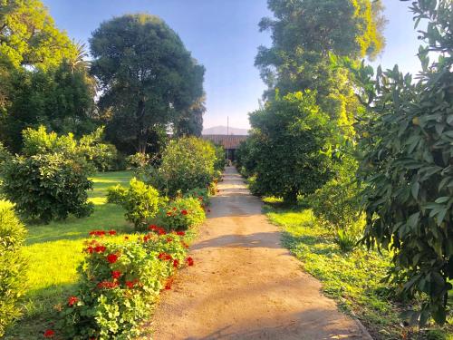a path through a garden with flowers and trees at The White House by Casona Lo Aguirre - El Monte RM in Talagante