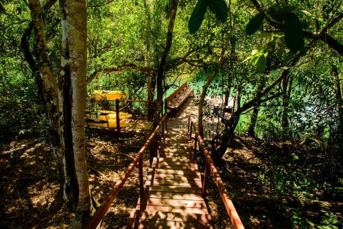 a wooden bridge in the middle of a forest at Pousada Boyrá in Bonito