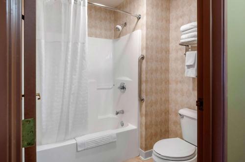 Comfort Inn Dyersville Near the Field of Dreams tesisinde bir banyo