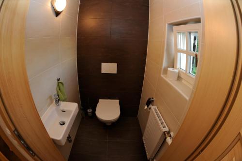 a small bathroom with a toilet and a sink at Winzerhaus Oswald in Narrath