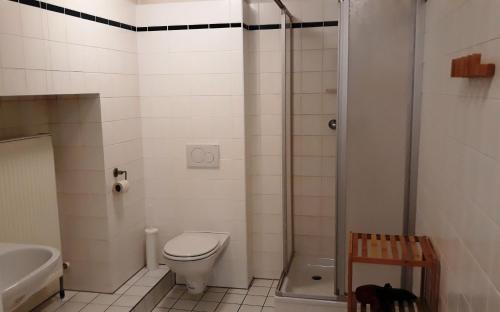 a bathroom with a toilet and a shower at Stifts-Suite in Klosterneuburg