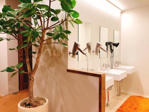 Gallery image of Guesthouse Akicafe Inn in Hiroshima