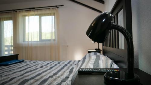 Ένα ή περισσότερα κρεβάτια σε δωμάτιο στο Pensiunea Gradinarilor cu statie de încărcare încărcare electrică auto