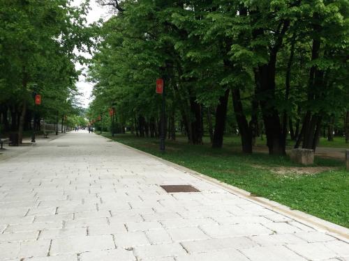 an empty sidewalk in a park with trees at Apartments Mirković in Cetinje