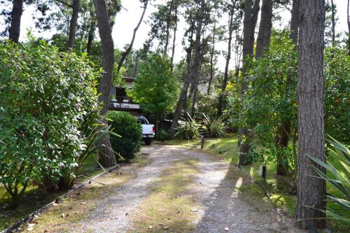 Ein Feldweg führt zu einem Haus mit Bäumen in der Unterkunft La Ventarrón in Mar de las Pampas