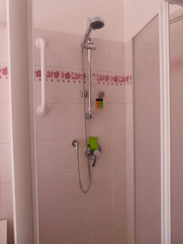 y baño con ducha con cabezal de ducha. en Maison Buthier, en Aosta