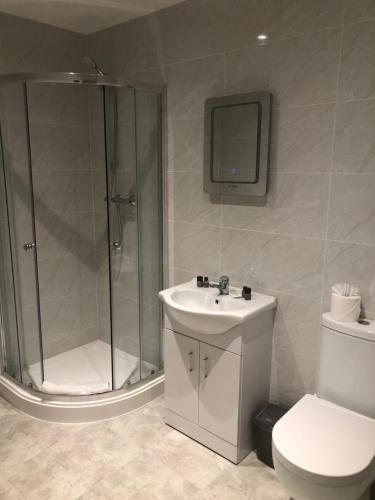 a bathroom with a shower and a sink and a toilet at The Dragon Hotel in Swansea