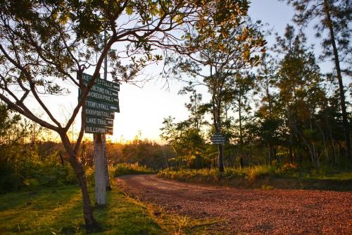 a street sign on a dirt road with trees at Hidden Valley Wilderness Lodge in San Ignacio