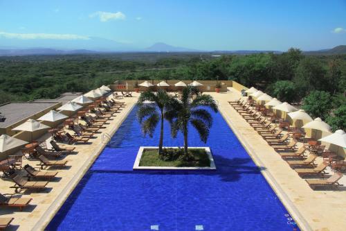 vista aerea su una piscina del resort con sedie e una palma di Hotel Waya Guajira ad Albania