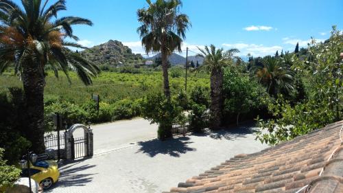 a view of a driveway with palm trees and a gate at Villa Christina in Tolo
