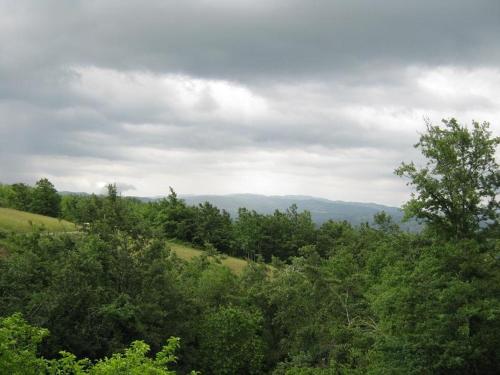 a view of a forest of trees on a hill at Casa Romme in Tornolo
