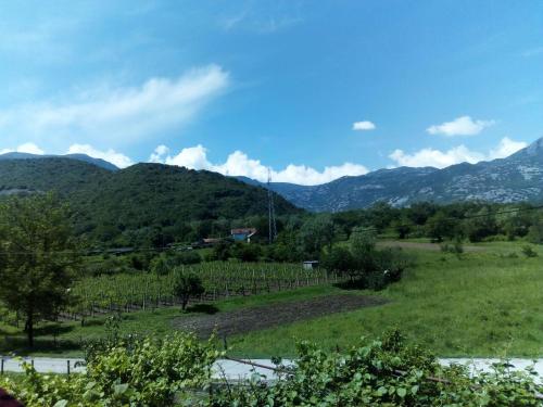 a view of a field with mountains in the background at Studio and winery Kalimut in Virpazar