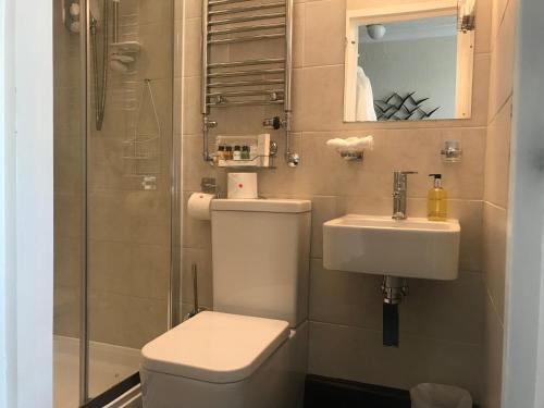 a bathroom with a toilet and a sink and a shower at Arran Lodge B&B in Torquay