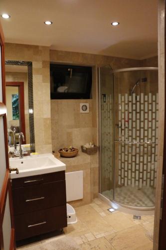 ein Bad mit einer Dusche und einem Waschbecken in der Unterkunft Flower Home in Szentendre